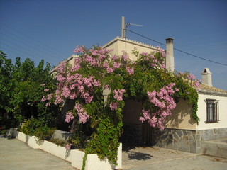 casa de pags l'Oncle Joan de Petenera